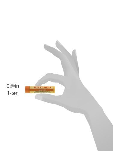 Burt's Bees Lip Balm - Mango, Lip Moisturizer With Responsibly Sourced Beeswax, Tint-Free, Natural Origin Conditioning Treatment, 2 Tubes, 0.15 oz. (Pack of 2)