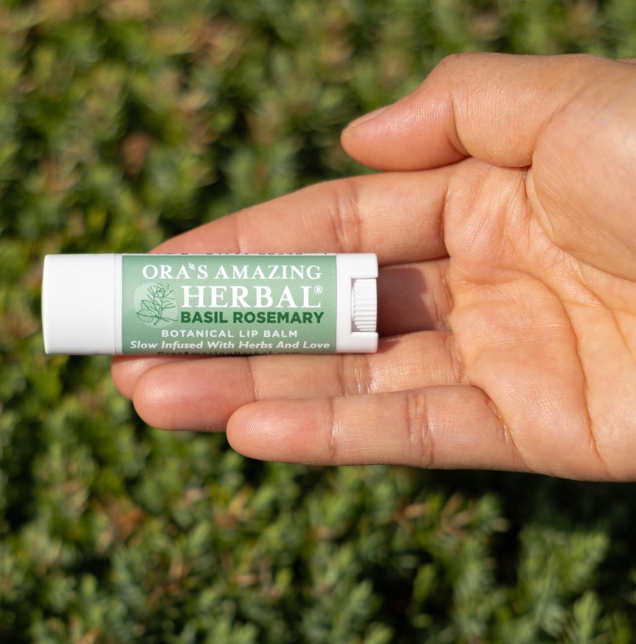 Natural Lip Balm, Perioral Dermatitis Treatment, Calendula, Healing Lip Balm with Immune Supportive Basil & Rosemary Essential Oil, Organic Coconut Oil, 2 Pak, Ora's Amazing Herbal