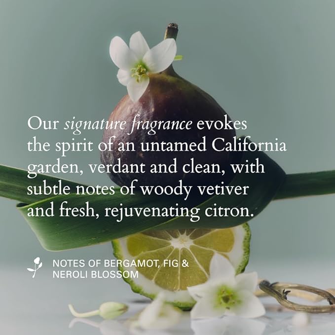 RŌZ Foundation Mask – Hydrating & Repairing Hair Treatment for All Hair Types – Deep Conditioning to Strengthen, Smooth & Nourish – Vegan, Color Safe, Silicone Free