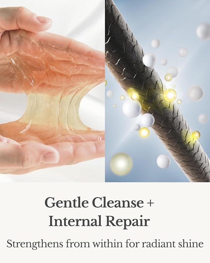 Shampoo & Conditioner Set, Hydrating & Moisturizing for Dry, Damaged, Color-Treated Hair, Paraben & Sulfate Free, Clean Hair Shampoo & Conditioner for Women & Men, White (8.5 fl oz Each)