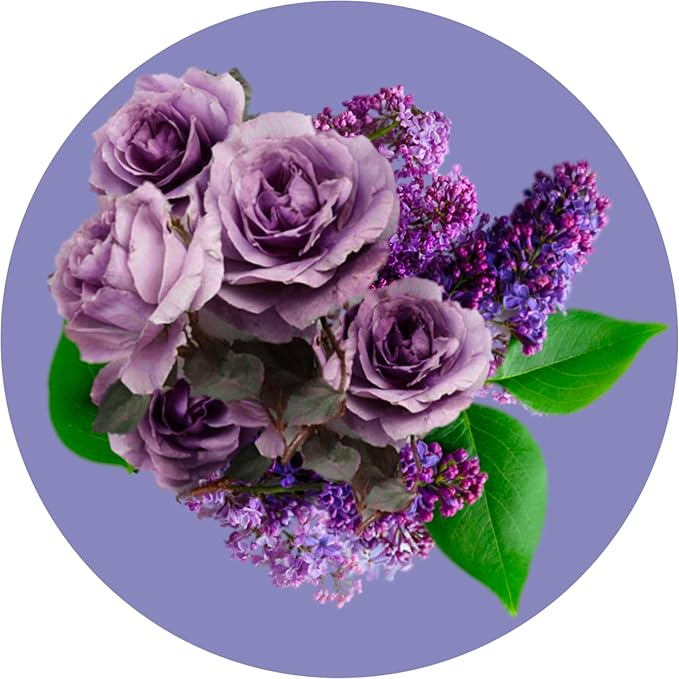 Routine Wellness Anti-Thinning Volumizing Shampoo for Thinning Hair & Hair Loss - Grow Your Confidence with Biotin & DHT Blockers - 14 oz Shampoo - Lilac & Winter Rose