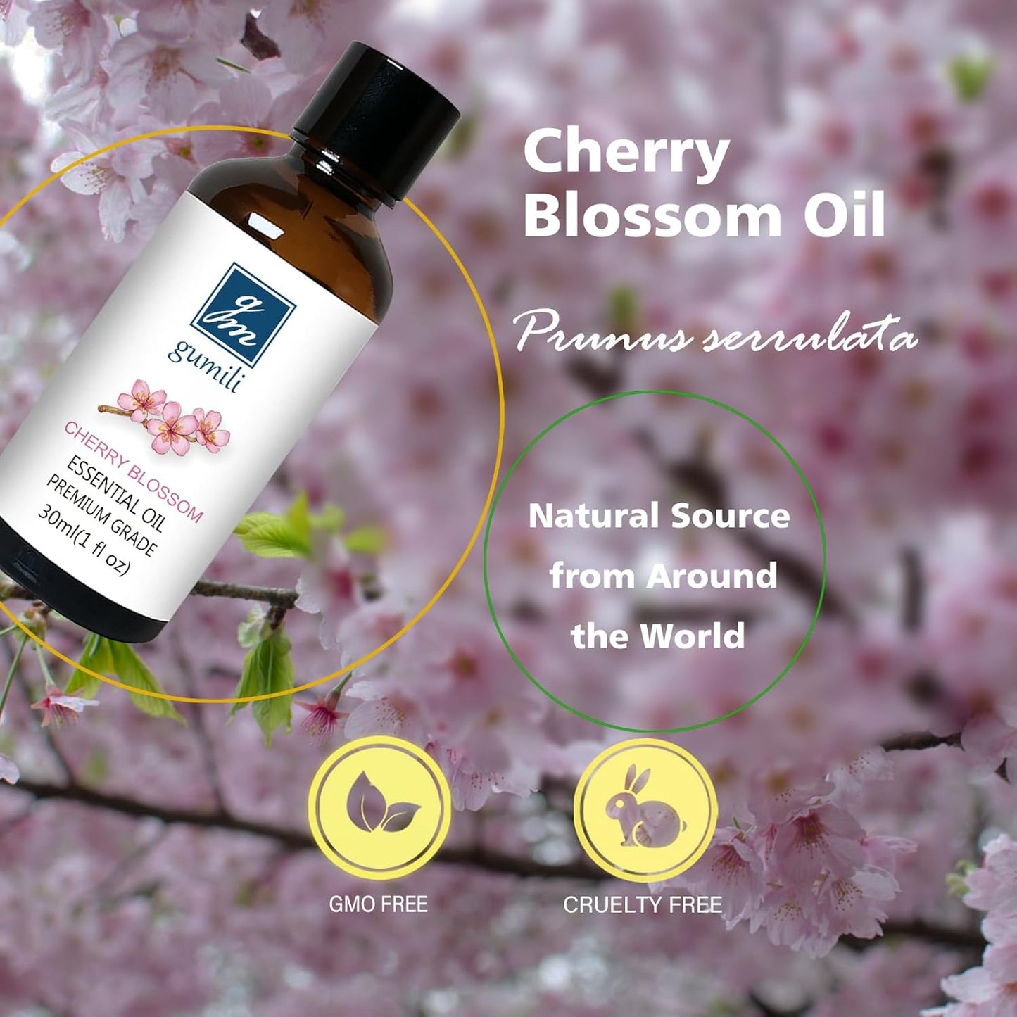Cherry Blossom Essential Oil, Home Fragrance Oil, Scent Oils for Candle Making, Soap, Dryer Balls, Diffusers, Laundry, Slime -1 oz /30ml