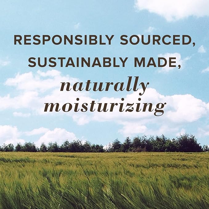 Moisturizing Lip Balms 2 Pack - Mango 2/0.15 Ounce (4.25 g) Balm