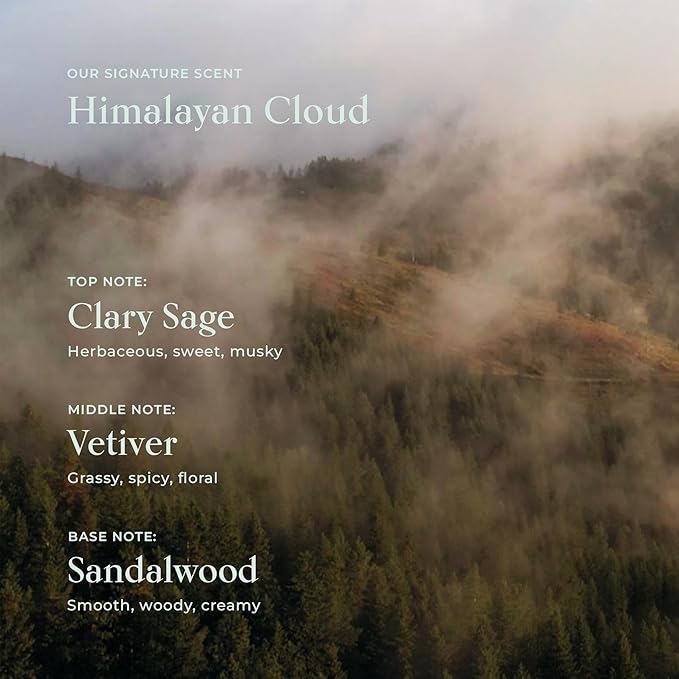 SHAZ & KIKS Nourishing Naram Conditioner | Weightless Whipped Conditioner to Repair Damage and Reduce Frizz | Visibly Softens and Protects Hair | Ashwagandha & Kokum Butter | Vegan, Color-Safe | 90ml