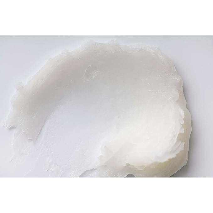 Burt's Bees Lip Balm - Vanilla Bean, Lip Moisturizer With Responsibly Sourced Beeswax, Tint-Free, Natural Origin Conditioning Treatment, 2 Tubes, 0.15 oz. (Pack of 2)