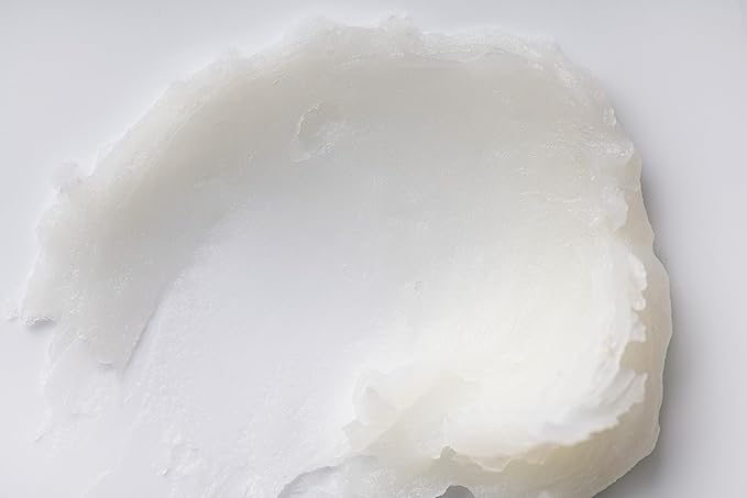 Burt's Bees Lip Balm - Vanilla Bean, Lip Moisturizer With Responsibly Sourced Beeswax, Tint-Free, Natural Origin Conditioning Treatment, 2 Tubes, 0.15 oz. (Pack of 2)