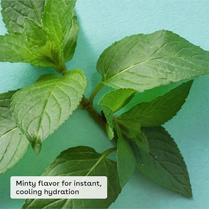 eos Medicated Lip Balm | The Fixer | Repairs Chapped Lips | 0.35 oz | Pack of 2