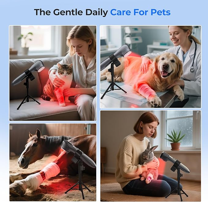 Morfone Handheld Red Light Therapy Device - Infrared Light 5 x 808nm + 12 x 650nm, Wireless Cold Infrared Red Light Wand with Stand & Glasses for Home Use, Gift Idea, Grey