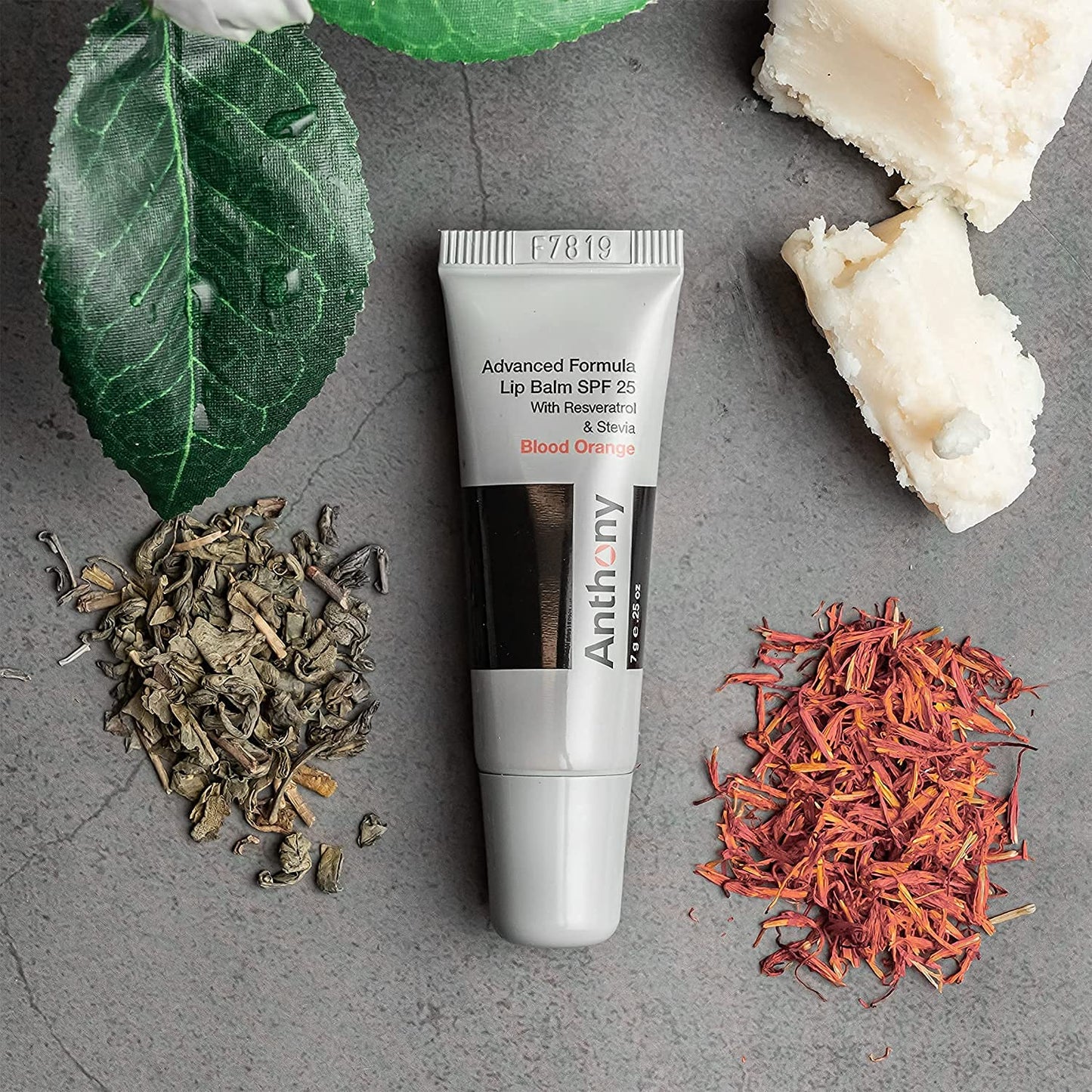 Anthony 25 SPF Lip Balm with Sunscreen for Lips – Contains Green Tea Extract, Shea Butter & Vitamin E – Moisturizing Repair Care Treatment for Chapped & Dry Lips 4-Pack