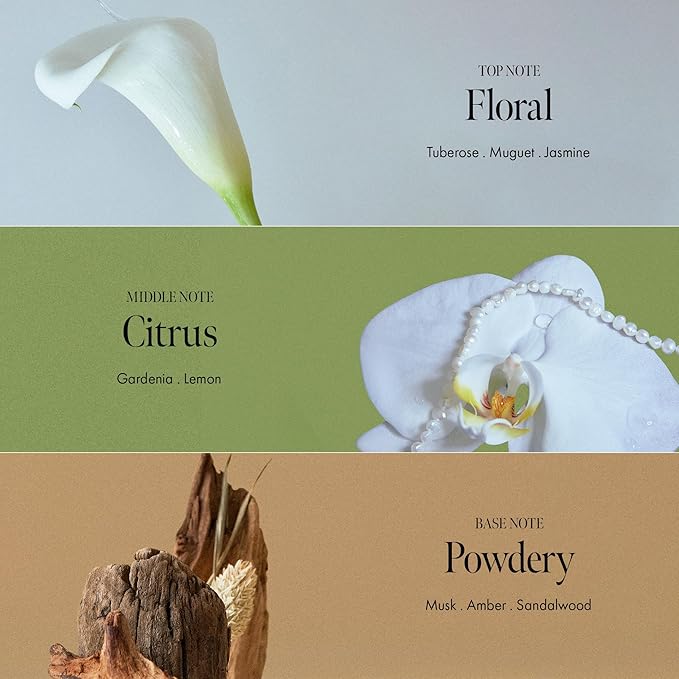 ANILLO Gardenia Veil Color Shield Ampoule Treatment – Shine-Boosting Hair Mask for Color-Treated Hair – Protein & Amino Acid Complex, Daily Use, Silicone-Free, 200 ml / 6.76 fl oz